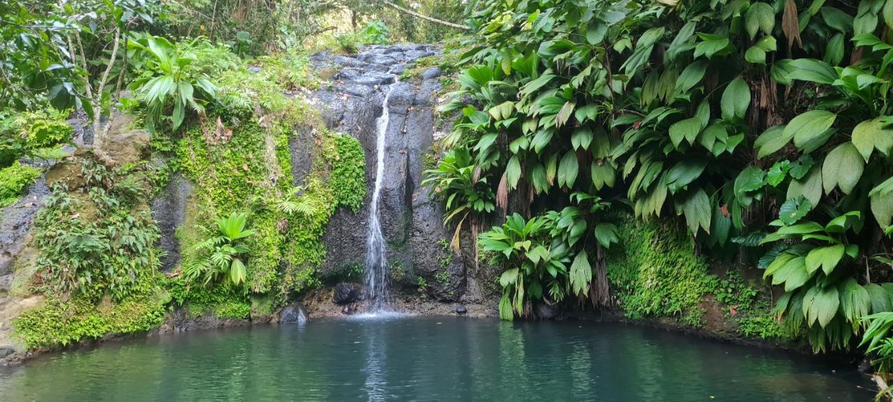 Gite Kaz A Topaze, Piscine, Jardin Tropical Sainte-Rose Dış mekan fotoğraf