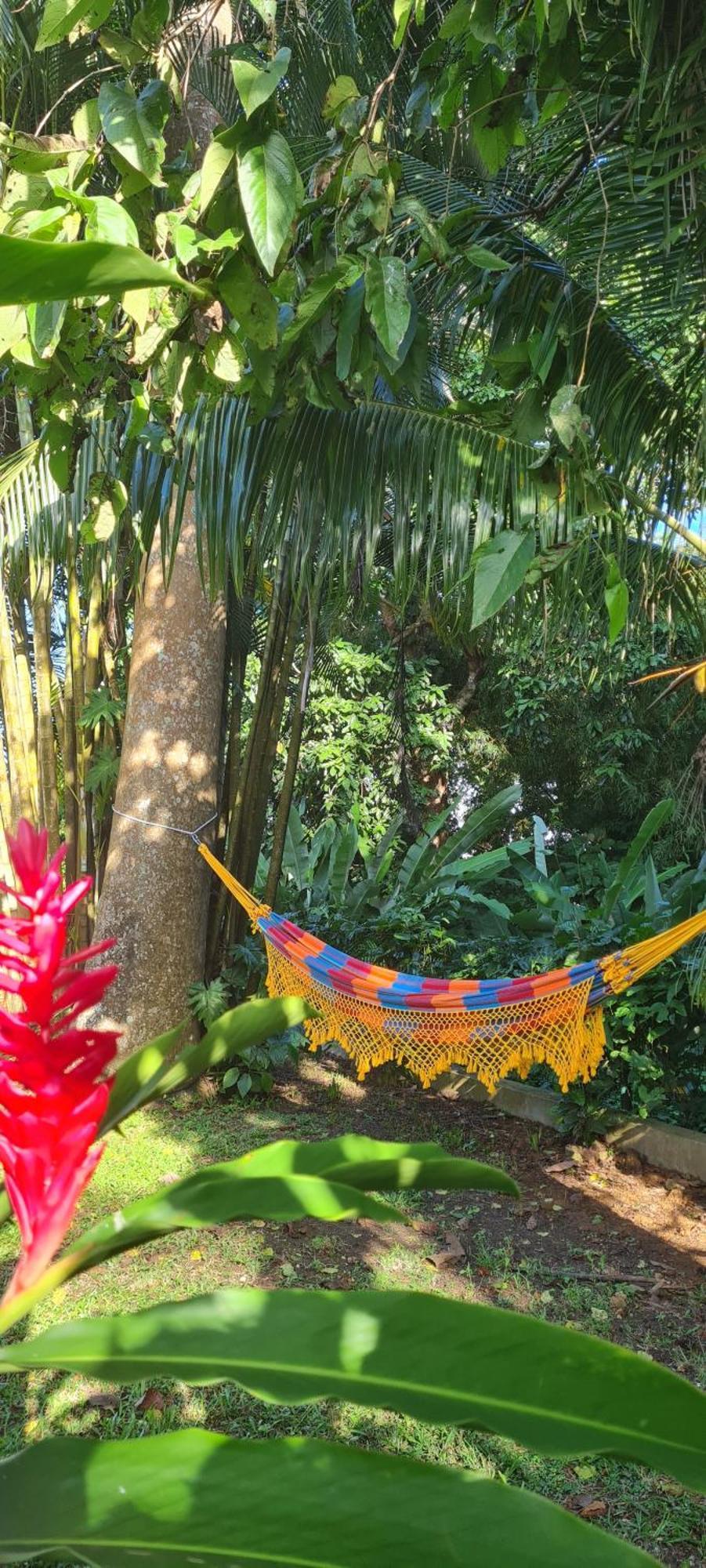 Gite Kaz A Topaze, Piscine, Jardin Tropical Sainte-Rose Dış mekan fotoğraf
